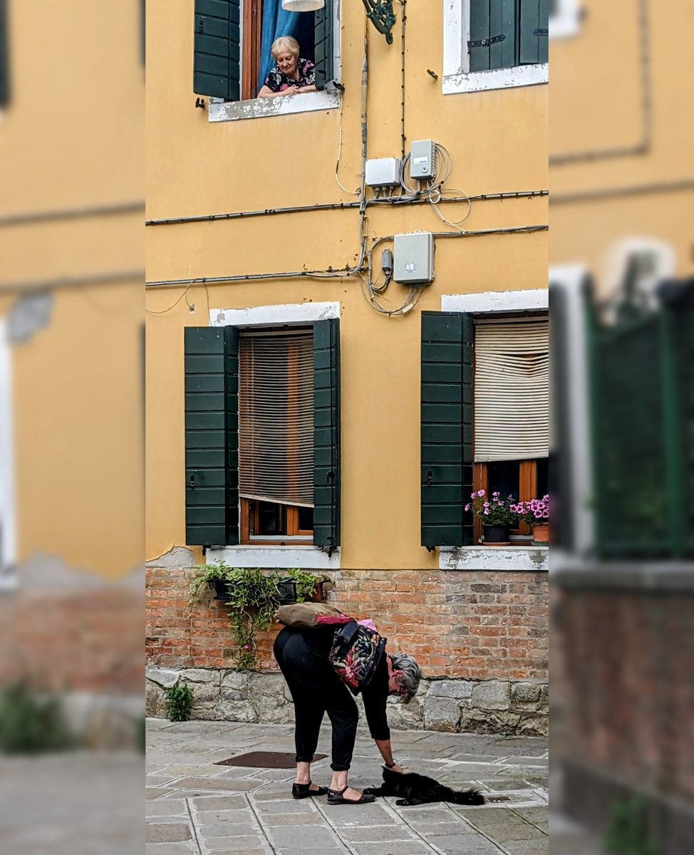 LJ_Pritchard's tweet photo. The Lure. #Caturday #BlackCat #Tickles #CatsOfSanPietroDiCastello #CatsOfVenice #CatsOfInstagram #Venezia #Venice #LivingOnWater https://t.co/uoI5WyQLyr