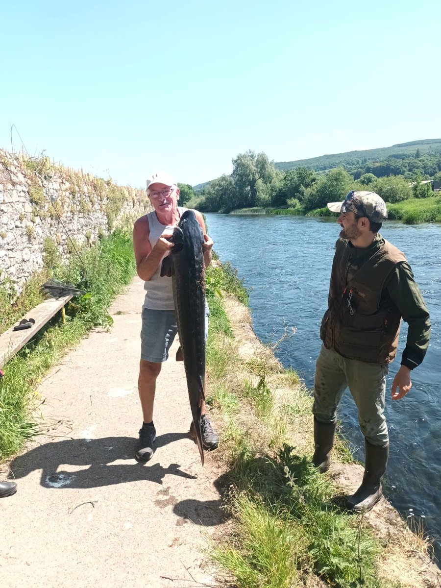 Pádraic Fogarty tweet media