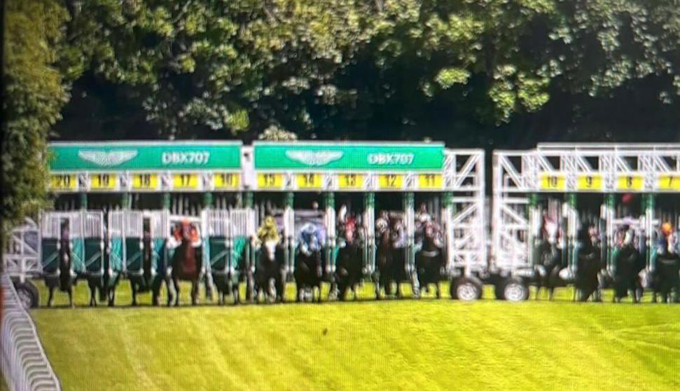 ONaillers2010's tweet photo. In the words of the BHA ‘not materially effected ‘ in the fastest 5f race ran ….. the gates ‘marginally slower to open’  75% of the field had jumped before some had even opened. Drawn 20 my horses head nearly got stuck on the centre!!! https://t.co/Q4BfzAHO1U
