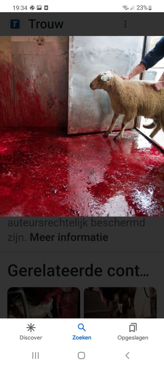 12de Man Spakenburg tweet media