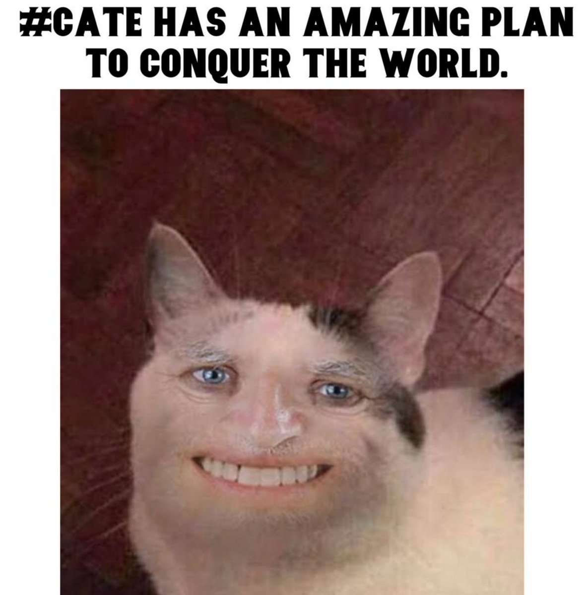 catecoin's tweet photo. #cate https://t.co/fbHkBcIrEN