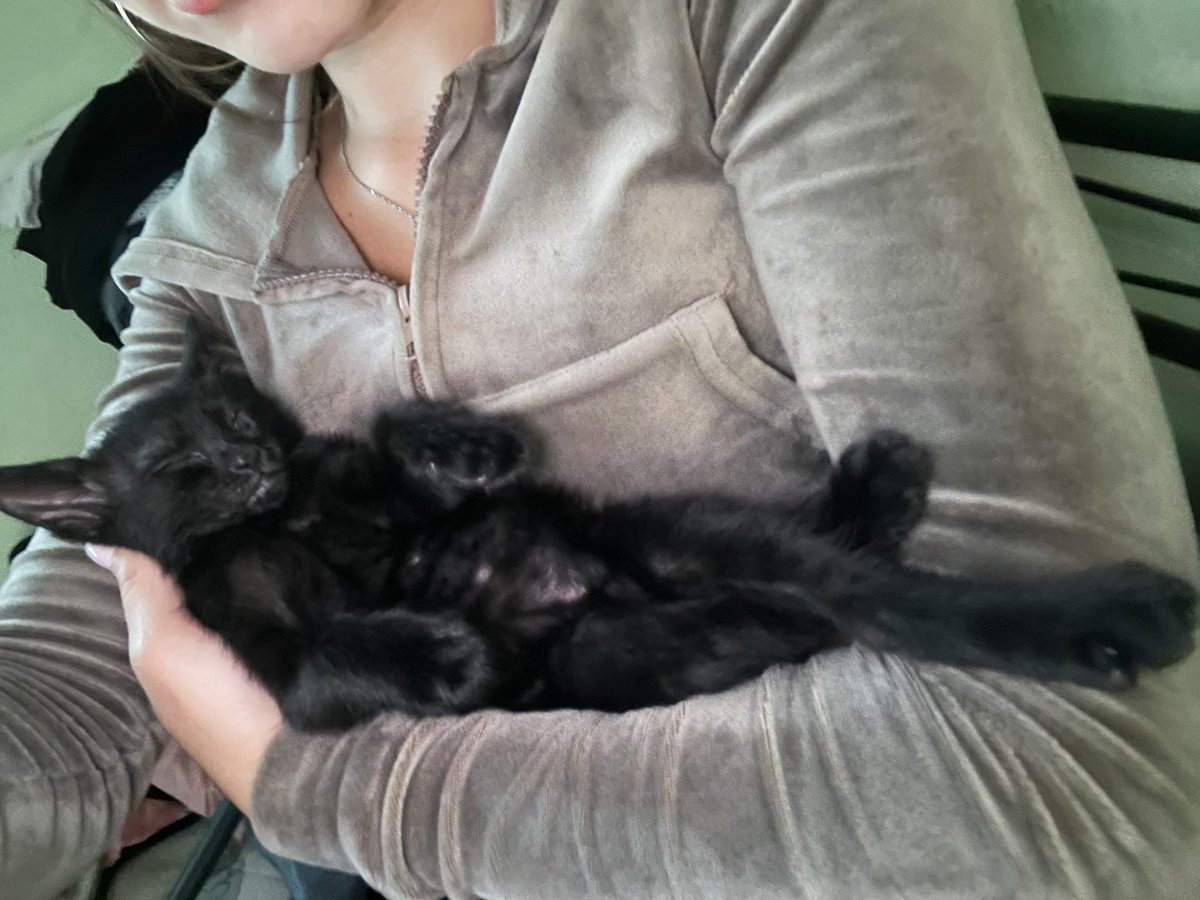 _liaxv's tweet photo. :3😄🐈‍⬛��� https://t.co/RB3z3xbboJ