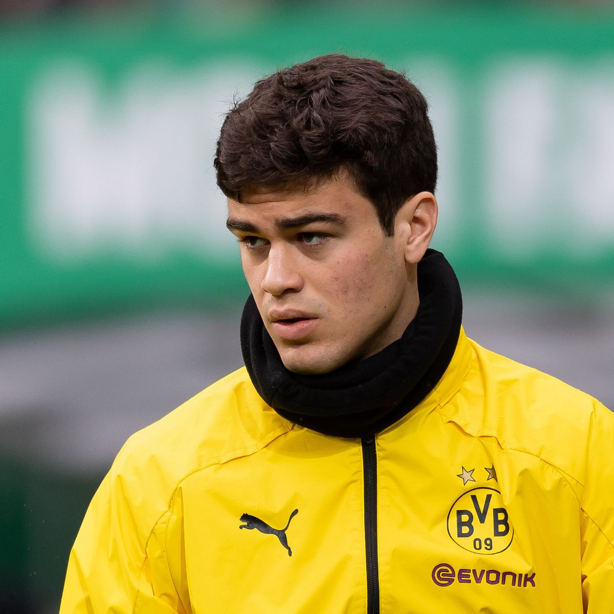 BVB Prioritäten für die Saison 23/24 

Teil 2...

Psychologen &amp;/o Motivations Coaches, müssen massiv an Reynas Einstellungen arbeiten.

Sein Meckern und seine Körpersprache sind so negativ, dass sie sein spielerisches Talent überragen.

Schafft er es nicht, muss er gehen.

#bvb