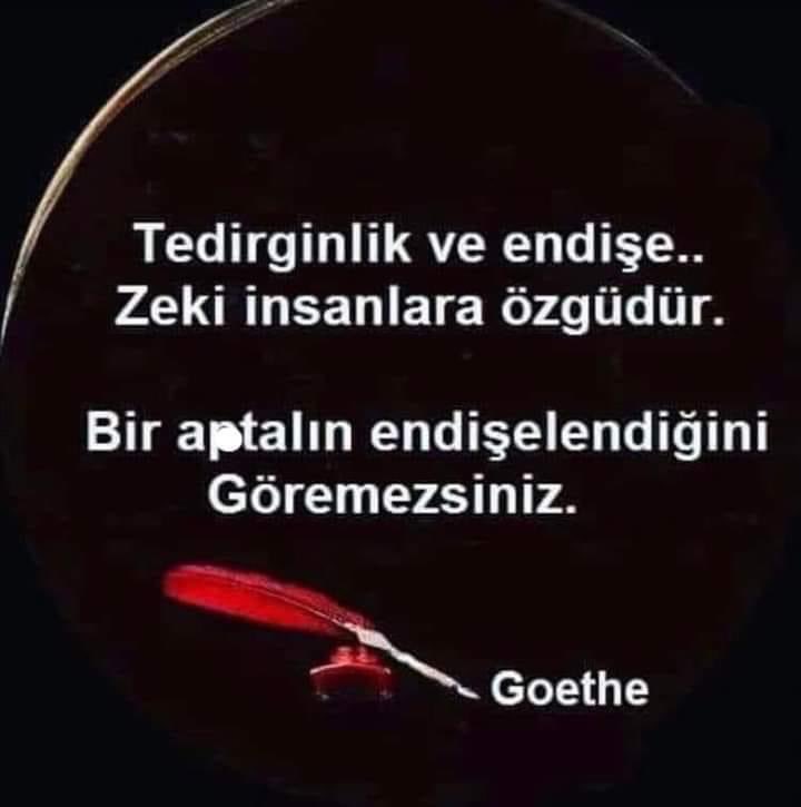 Adile Gülfem ( Çelikel ) şebin tweet media