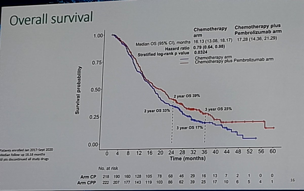 GBOT Alerta tweet media