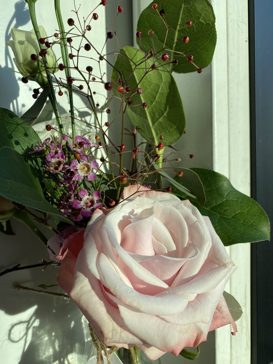 _brettlyons's tweet image. 