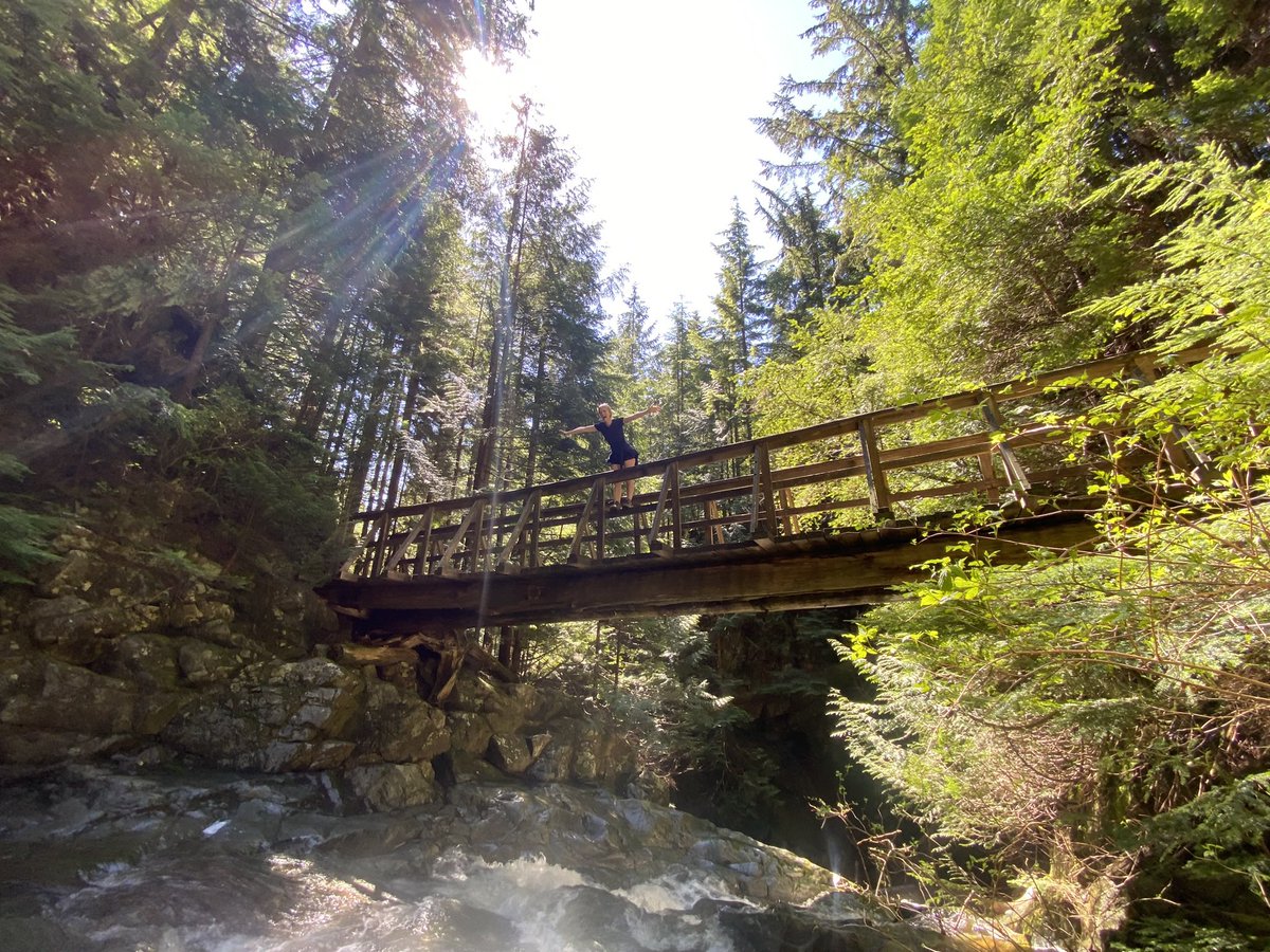 _brettlyons's tweet image. 