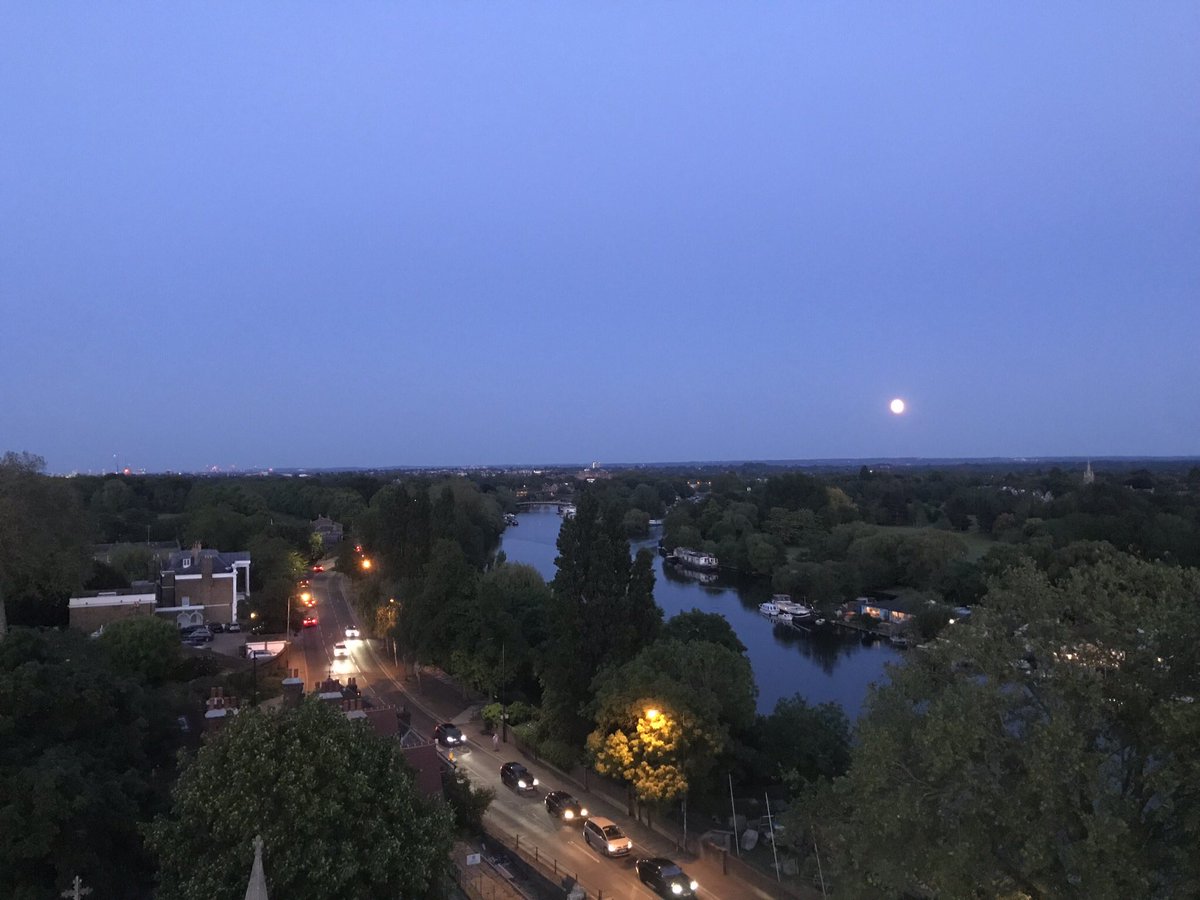 Jonathan Williams tweet media