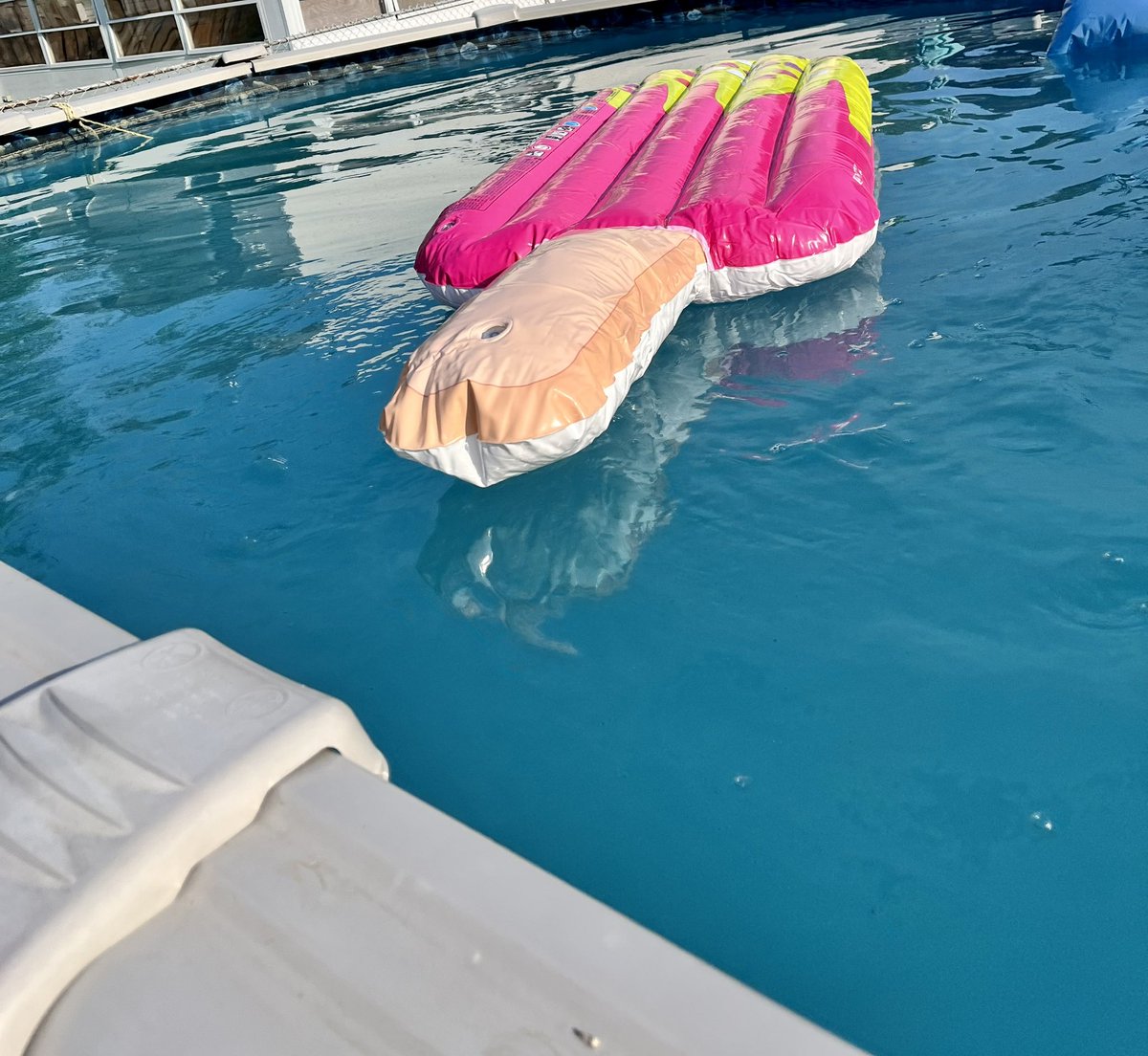 I don’t know. Maybe in hindsight the popsicle pool floaty might’ve been a bad idea.