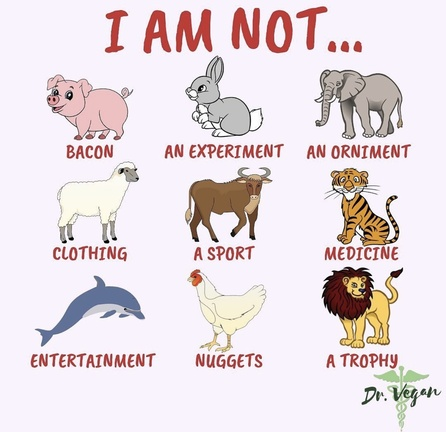 veganfuture's tweet photo. https://t.co/KEWK3DfQsW