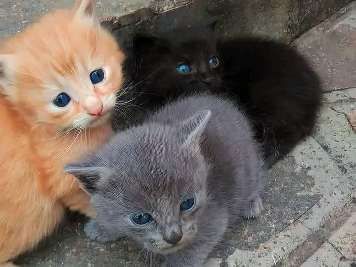 keepitwerdo's tweet image. life is not pretty but they are &amp;lt;3