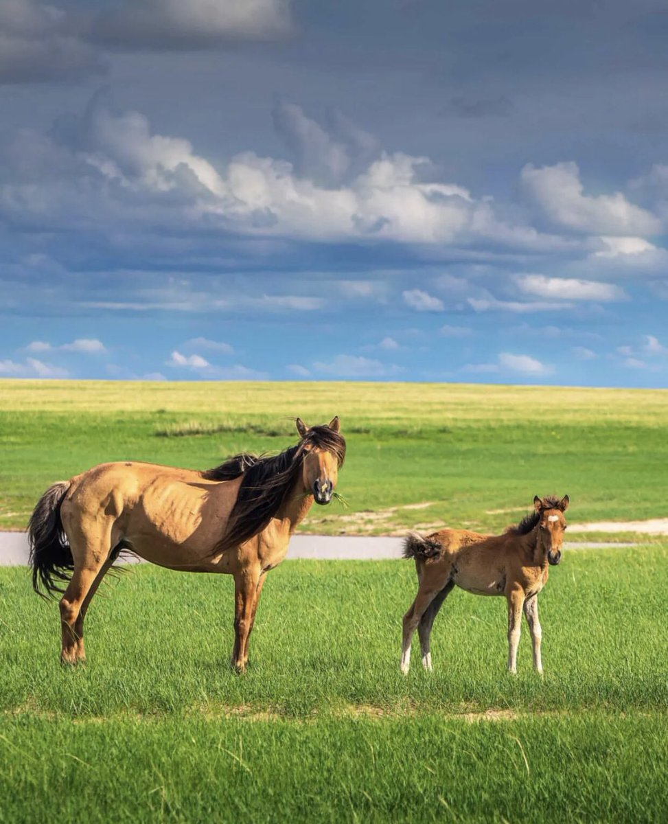 Амралтын өдрийн өглөөний мэнд🤗