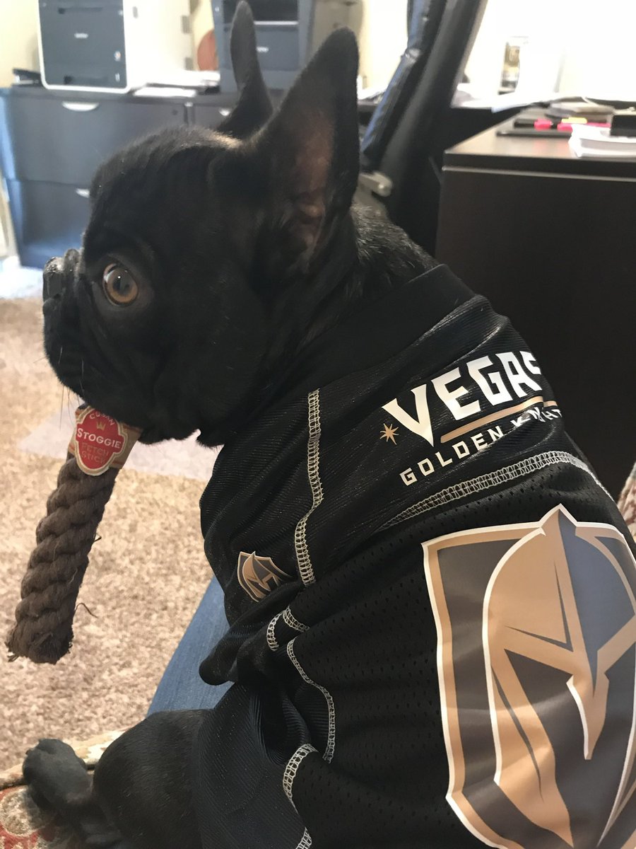 We got this!!!
#UKnightTheRealm #GoKnightsGo