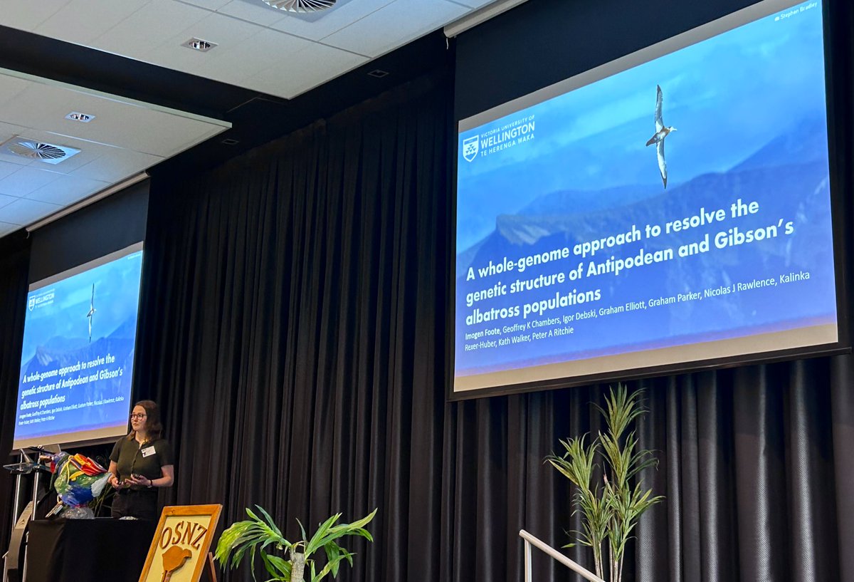 Birds New Zealand (@osnzbirdsnz) on Twitter photo Imogen Foote <a href="/ImogenFoote/">Imogen Foote</a> <a href="/WellingtonUni/">WellingtonUni</a> is using #genomic tools to investigate Gibson’s and Antipodes albatrosses taxonomy and population structuring, with implications for monitoring and protection. #BirdsNZ2023 Imogen Foote <a href="/ImogenFoote/">Imogen Foote</a> <a href="/WellingtonUni/">WellingtonUni</a> is using #genomic tools to investigate Gibson’s and Antipodes albatrosses taxonomy and population structuring, with implications for monitoring and protection. #BirdsNZ2023