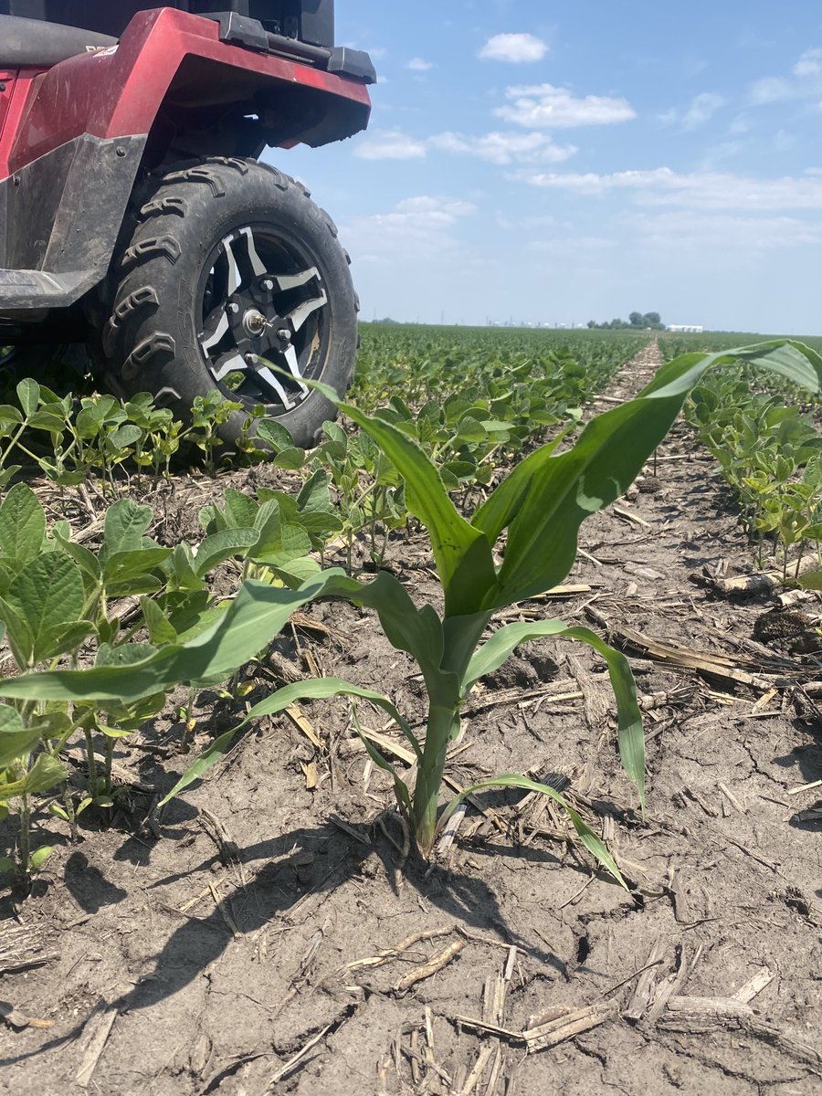 Steve Hettinger tweet media