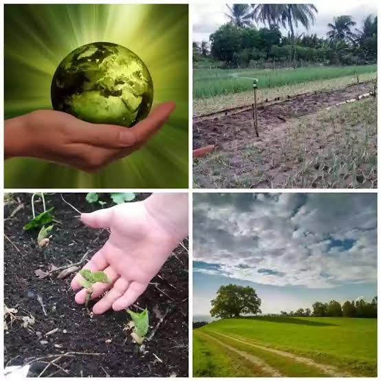 Minimizing the loss of topsoil, retaining more carbon than is depleted, boosting biodiversity, and maintaining proper water and nutrient cycling #SaveSoil 💙💚@ibrahimthiaw🌿 @cpsavesoil @jrockstorm