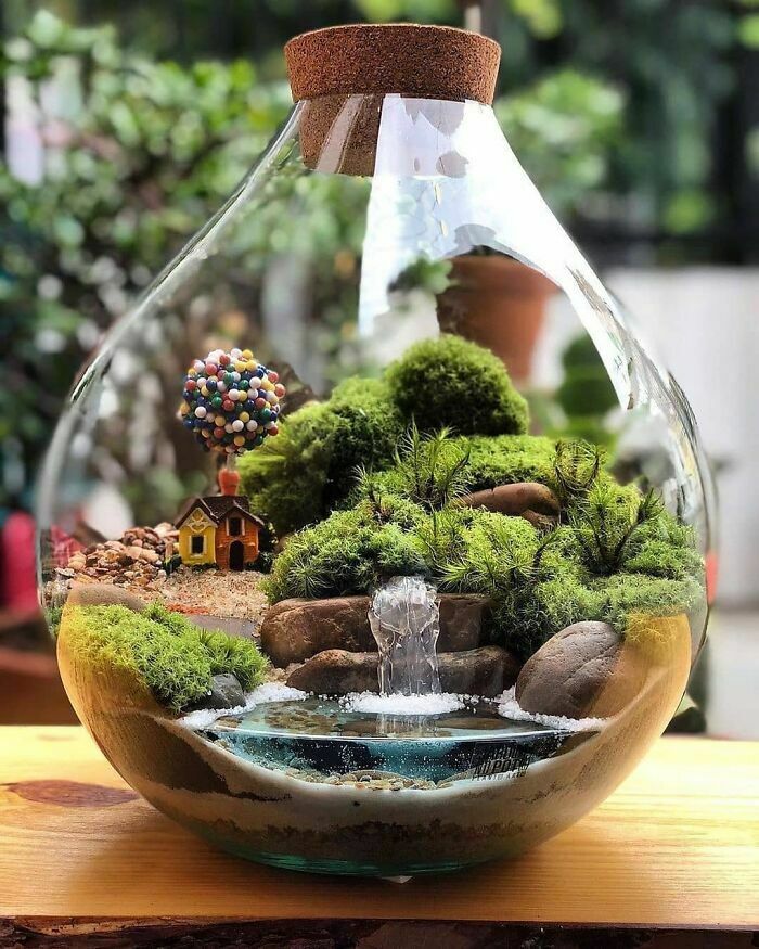 Life in a bottle

An encased eco-system

Miniature earth
#HaikuSaturday #haikuchallenge
#haiku