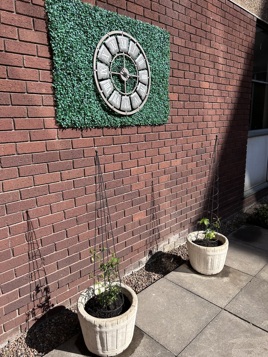 Grimsby ITU Rehab Garden 🪴 on Twitter "Very busy in the ITU rehab garden today… hanging baskets