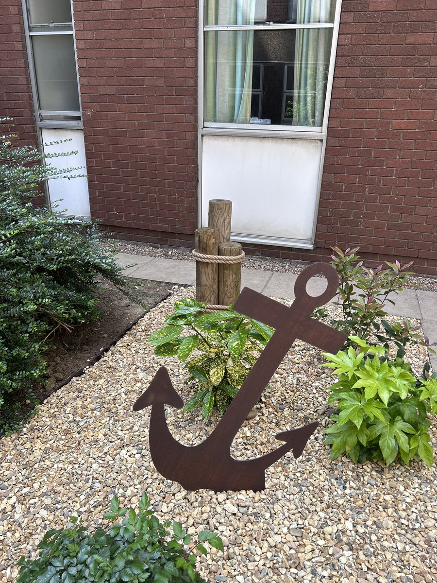 Grimsby ITU Rehab Garden 🪴 on Twitter "Very busy in the ITU rehab garden today… hanging baskets