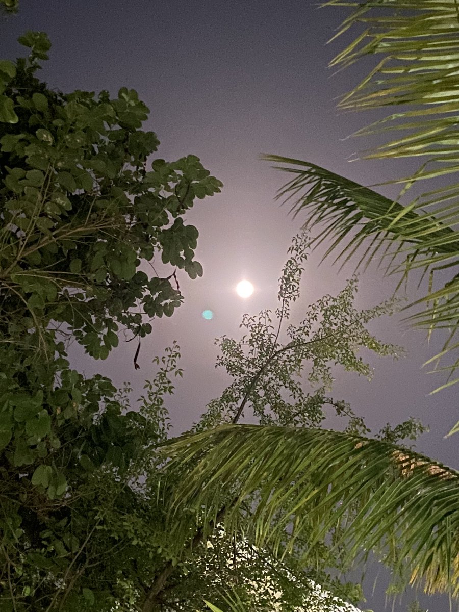 ppandeyenv's tweet image. Captured the enchanting beauty of the Purnima Moon tonight 🌕✨ Nature's celestial wonder never fails to inspire awe and wonder. #PurnimaMoon #NaturePhotography #MoonGazing