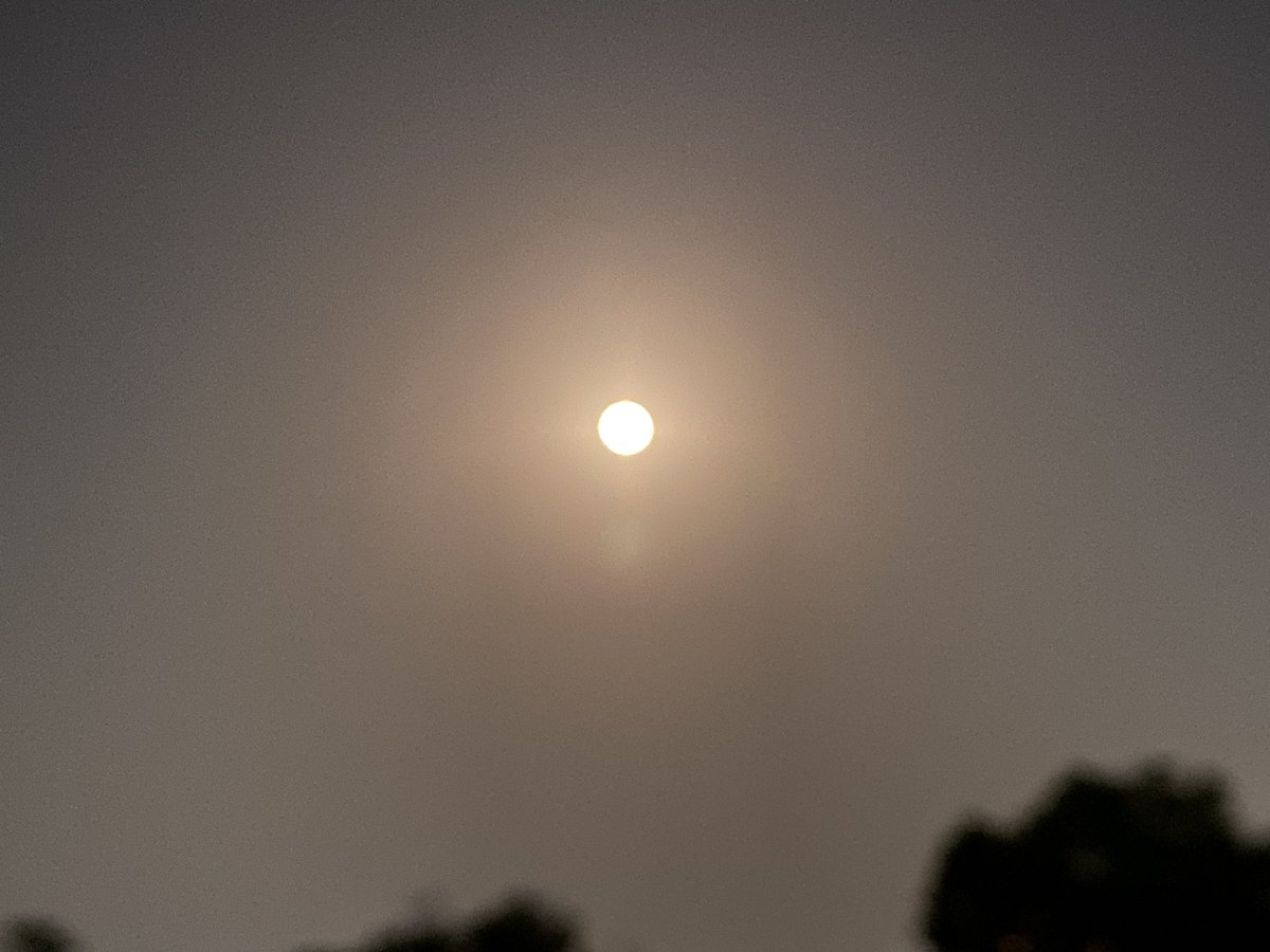 ppandeyenv's tweet image. Captured the enchanting beauty of the Purnima Moon tonight 🌕✨ Nature's celestial wonder never fails to inspire awe and wonder. #PurnimaMoon #NaturePhotography #MoonGazing