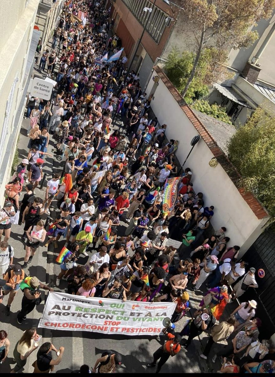 AnarClo1871's tweet photo. Pride des banlieues et lutte contre l empoisonnement chlordécone. Contre le non lieu et la non gratuite des tests pour les concernéEs en métropole
Banderole @diivineslgbtqi (fb insta ) qui prends deter ce combat #luttes #intersectionnelles https://t.co/QK0zRz1iQU
