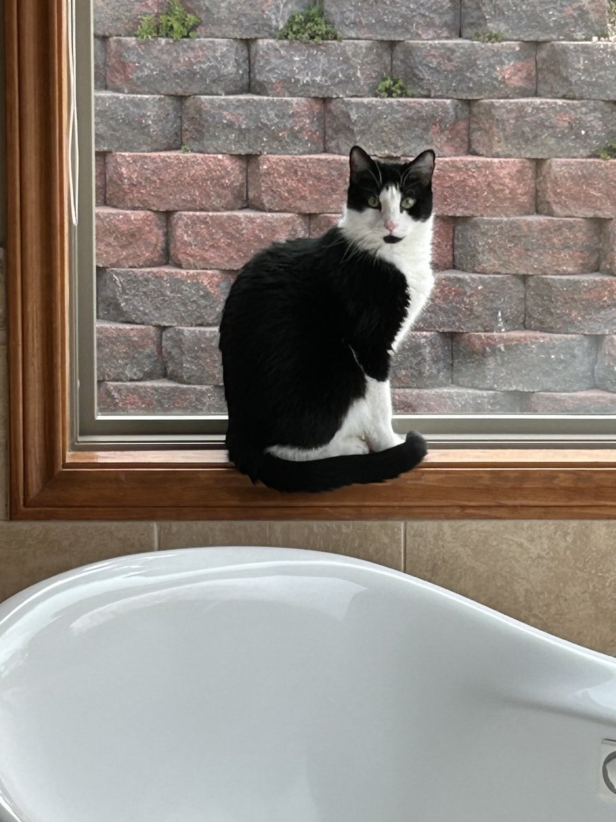 Boo the Magnificent