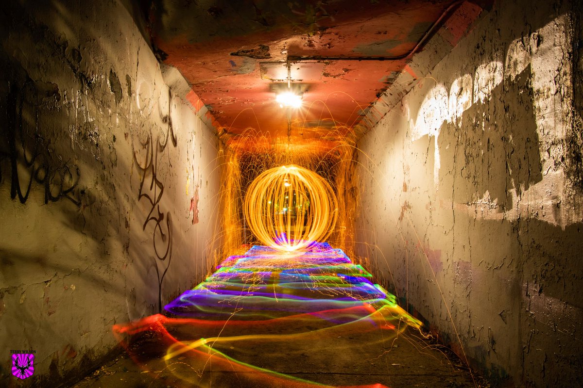 📷📷Good Morning World!📷📷
                                      
Check out our daily top 8 artists on #Hive  

📷Round 1485  
📷Image by Terrywayne

peakd.com/hive-153349/@p…

#photography #hive #hiveworks #hiveblog #HIVETwitter #photo #artist #photofeed $hive