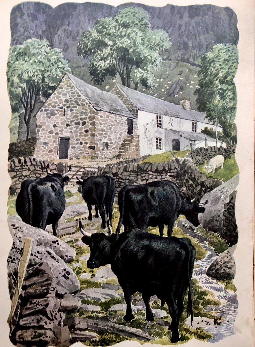 Other work by the Ladybird artists
‘Welsh Hill Farm’
CF Tunnicliffe (1949)