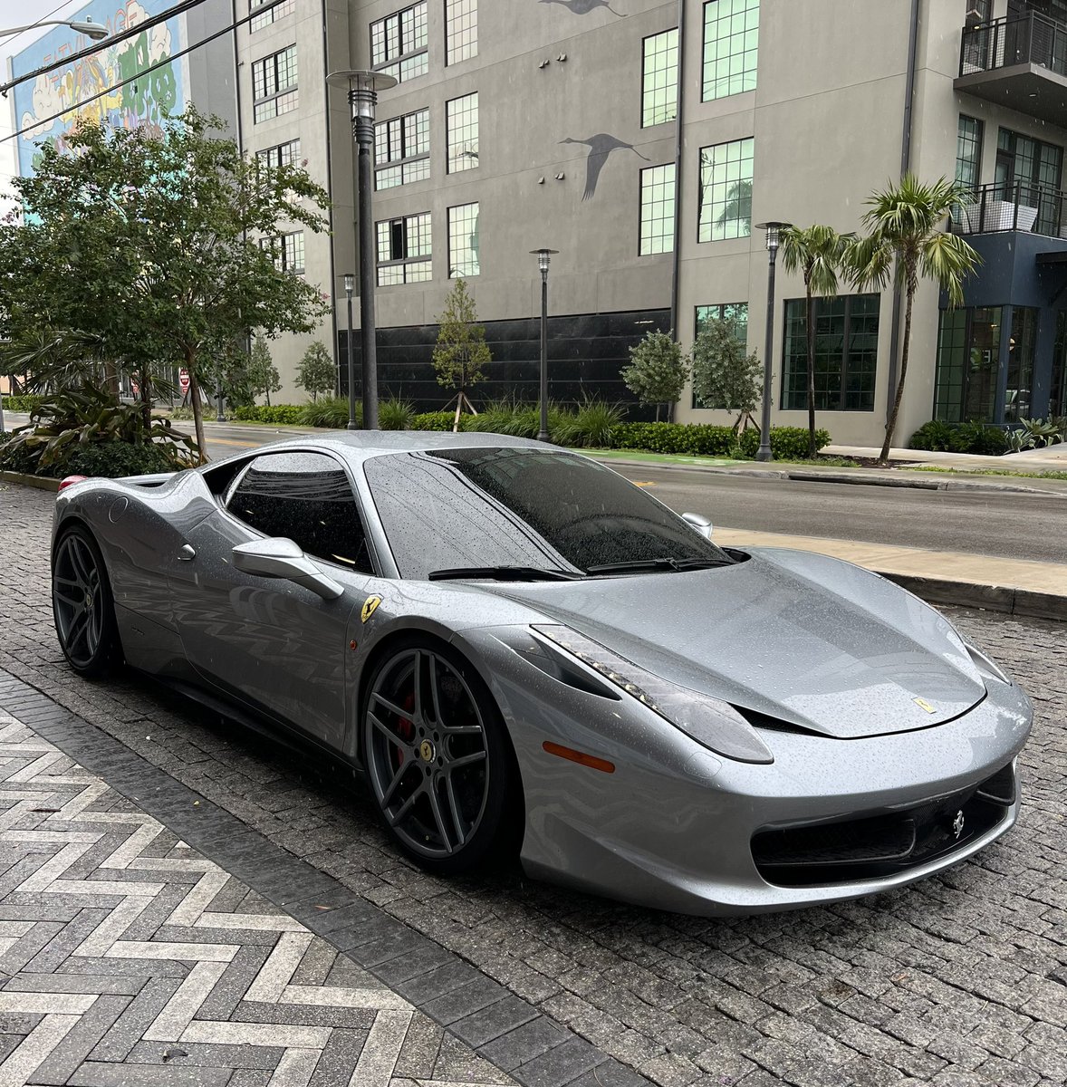 Friends in Florida living well. <a href="/NFTHero2/">llllll</a> insisted on being my Uber for the day - who am I to refuse.