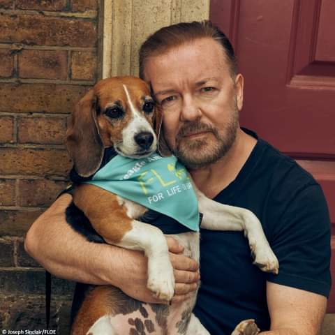 #Rickygervais #beagle  is trending as I write this, and as a #animal activist and #Dog lover ,U have stood against #Animaltesting and we stand against it with you.There is no reason in this day and age to still promote #AnimalCruelty  and #animalabuse.Let's end it now!!