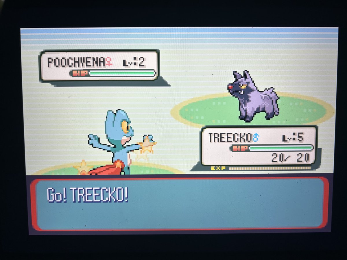 Shiny Treecko after just over 6K SR’s!!