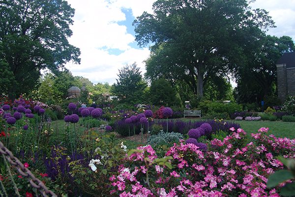 Join Toshi, along with other horticulture professionals &amp; garden enthusiasts, for The Woody Plant Conference on July 14. woodyplantconference.org/registration/ #scottarboretum #swarthmore #pennsylvania #horticulture #gardenenthusiasts 📸: Scott Arboretum