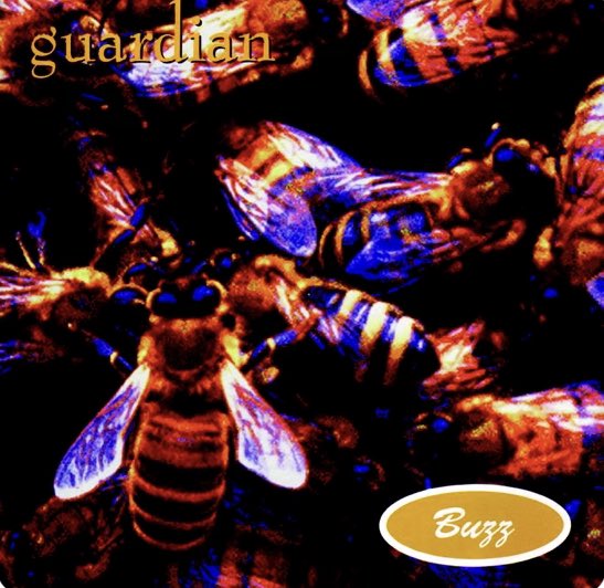 ginodean's tweet image. #ccmtwitter. You can only pick one…