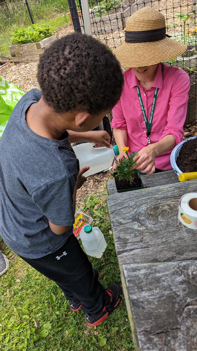 Montgomery County Master Gardeners - Maryland tweet media