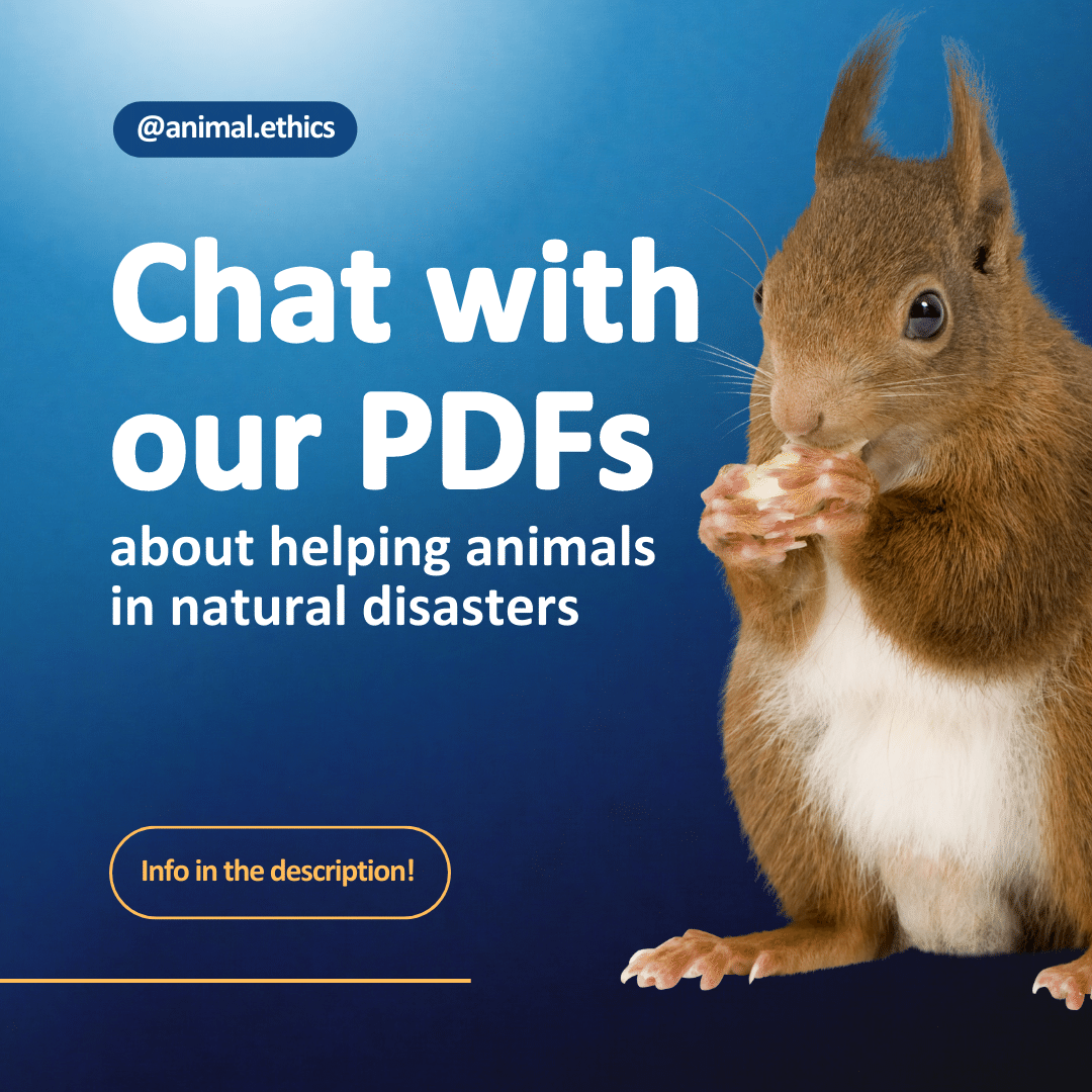 animalethics's tweet photo. You can now chat with a bot about our PDFs related to helping wild animals in natural disasters. Check it out!

How natural disasters affect wild animals: https://t.co/ccn0ELgNvu

Helping wild animals in fires and natural disasters: https://t.co/Drtu1vejN5 https://t.co/MUBiuI30b4