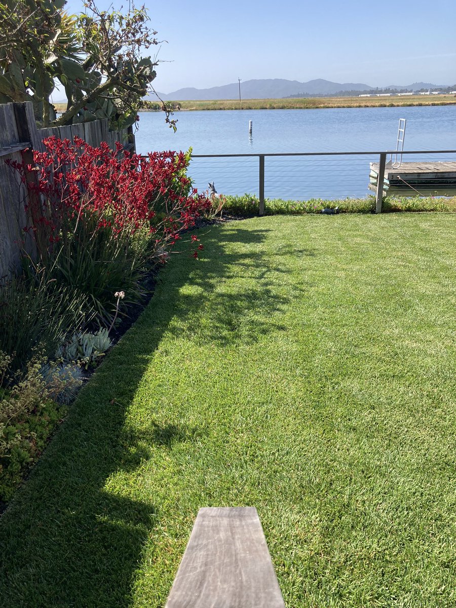 Big red really enjoying this spring.