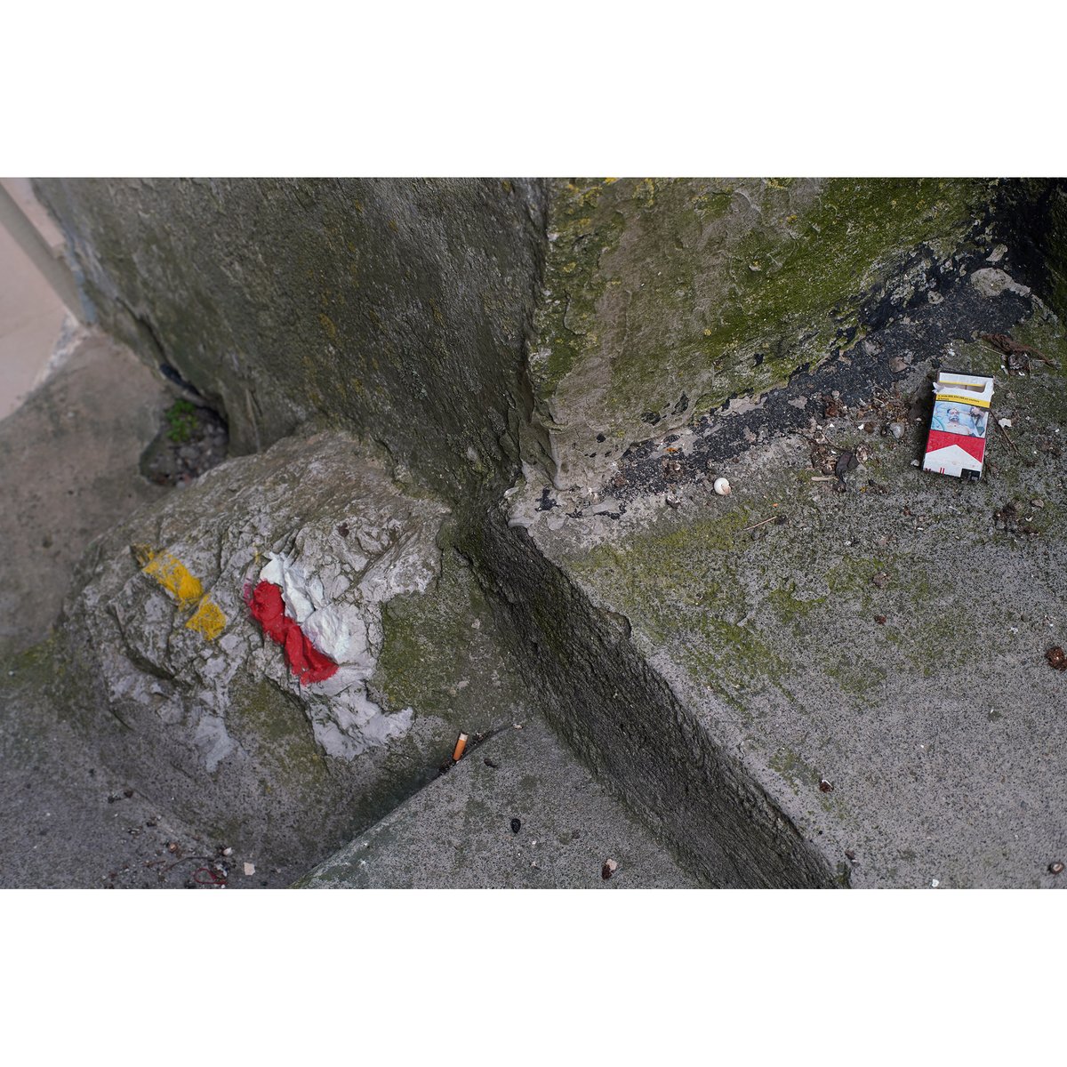 HeinrichPalmer's tweet image. distant relatives

#colourmatch #distantrelatives #unknown #family #secret #reunited #serendipity #chance #fate #markers #path #accidentalart #surprise #hidden #quiet #artists

instagram.com/p/CtCgM8XNTpl/…