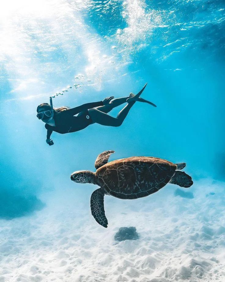 Scuba diving 🤿

#scuba #scubadiving #scubadive #scubadiver #scubapro #scubalife #scubadiverslife #scubadivers #scubagirl #scubadiverlife #scubaphoto #Scubalove #scubajunkies