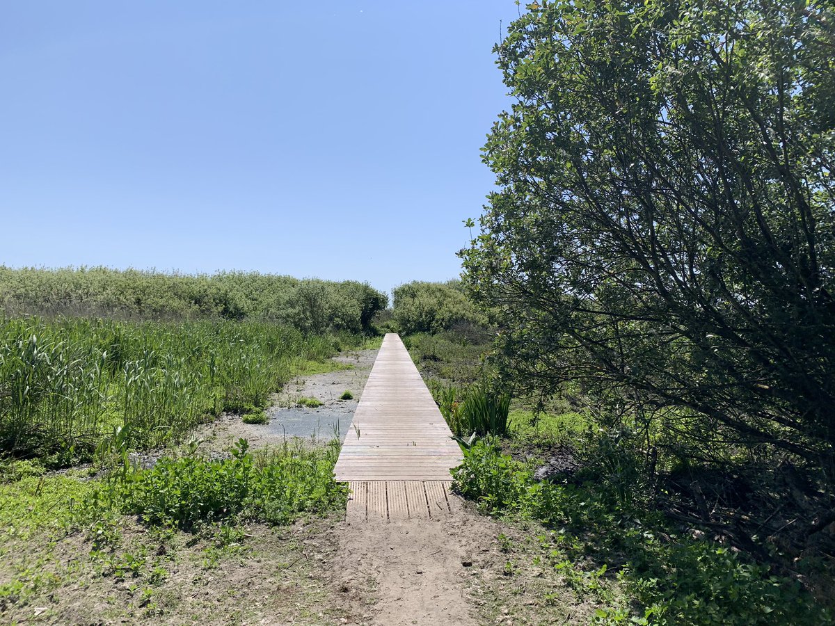Wilster81's tweet photo. Twitter wat Ben je lief voor mij vandaag! Wat een leuke reacties van jullie ❤️! Kleine impressie van deze schitterende dag! #rondjeameland #ameland #50kilometer https://t.co/kWwTFVPlwE