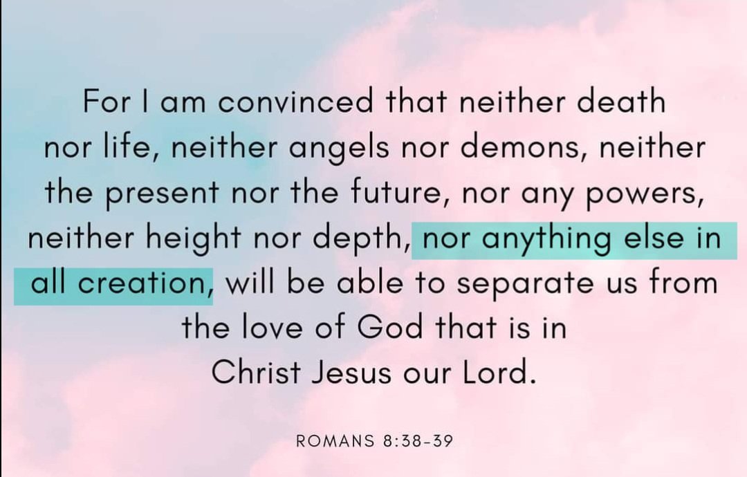 For any of my LGBTQ+ siblings out there who might be longing for God's love: There are a lot of people out there trying to separate you from God because of who you are. Just remember, they are part of the "anything else in all creation," and they can't take God's love from you.