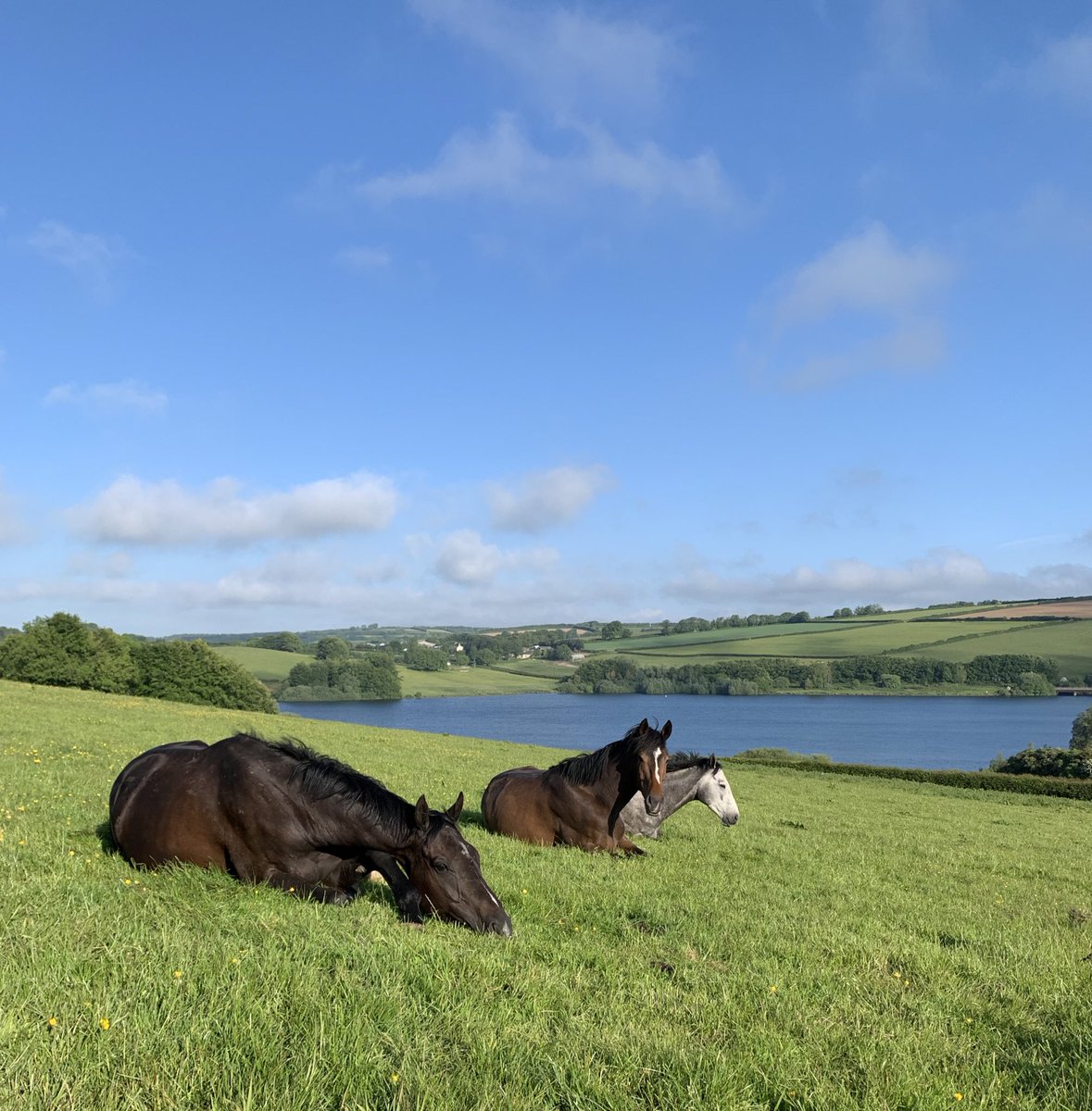 Two four year olds and a five year old enjoying a snooze this morning on their holidays #holidays #malinas #doyen #davidoff #teamscott