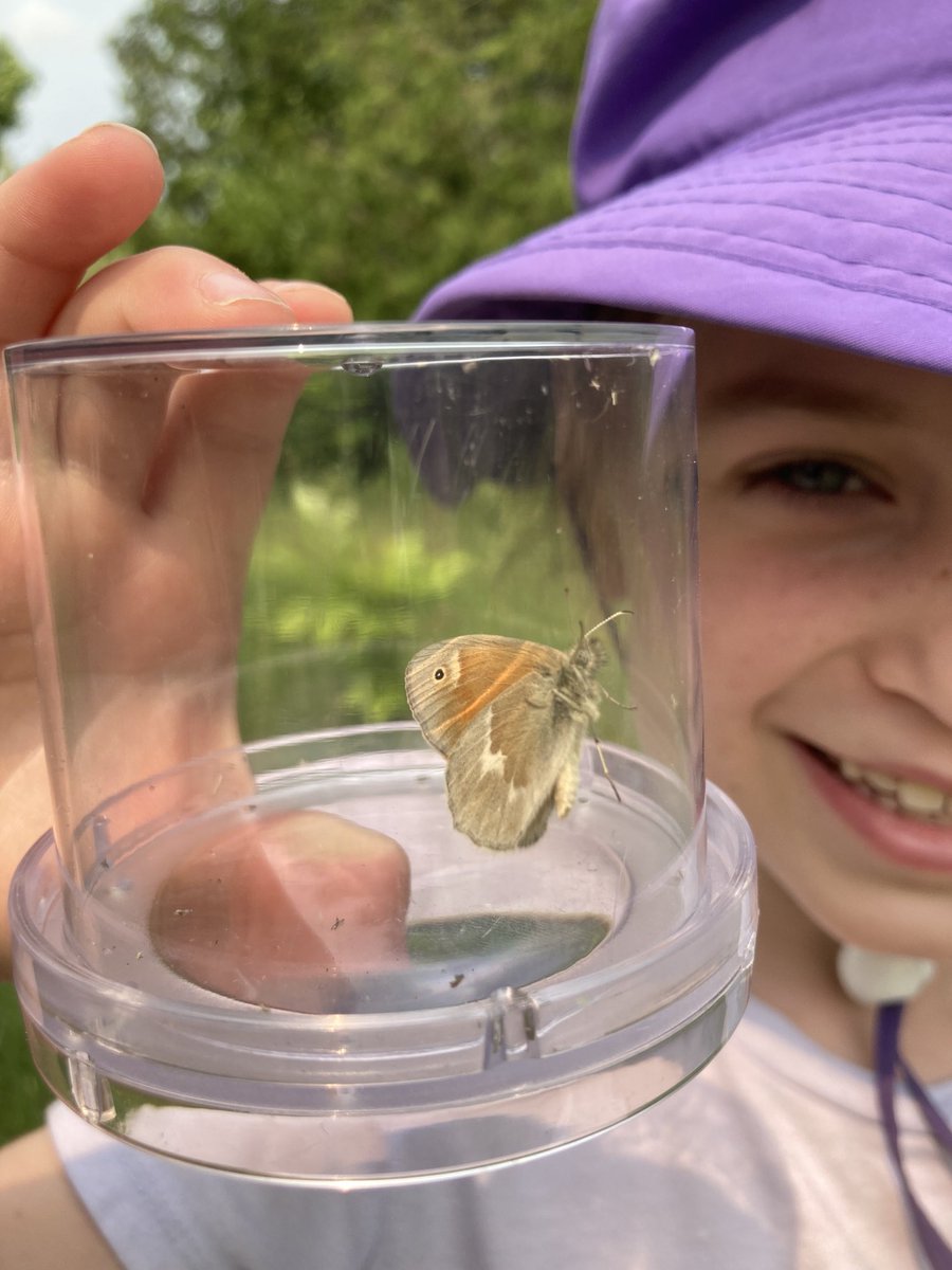 Laura Timms tweet media