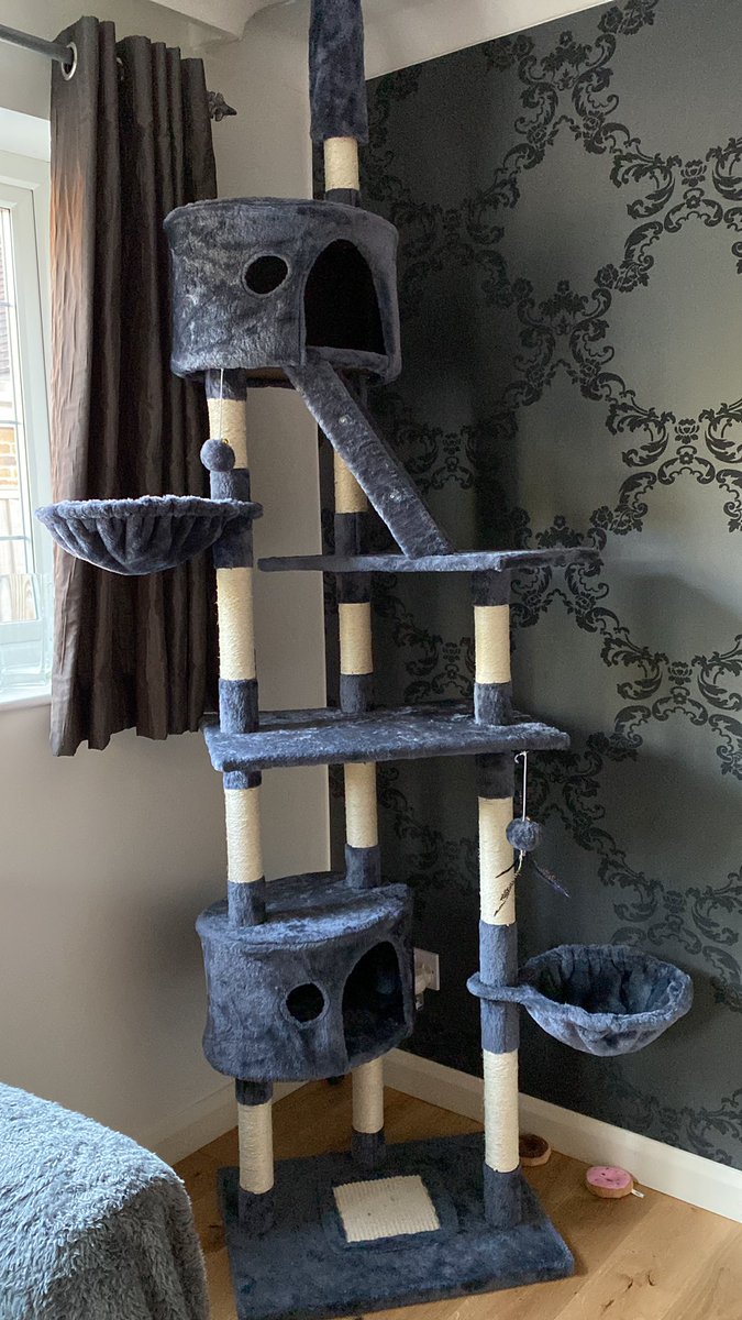 Helen Tardif tweet media