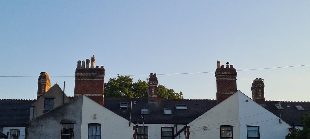 Leigh Hughes tweet media