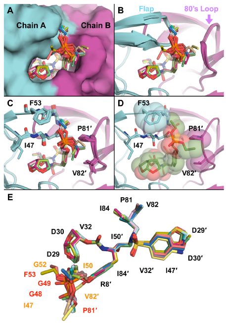 #newscience alert! Developing drugs for viruses that mutate quickly is a huge challenge, but Dr. Ali has identified new #HIV inhibitors that are effective in highly-mutated viruses and are even more effective than some drugs currently in #clinicaltrials 👀 sciencedirect.com/science/articl…