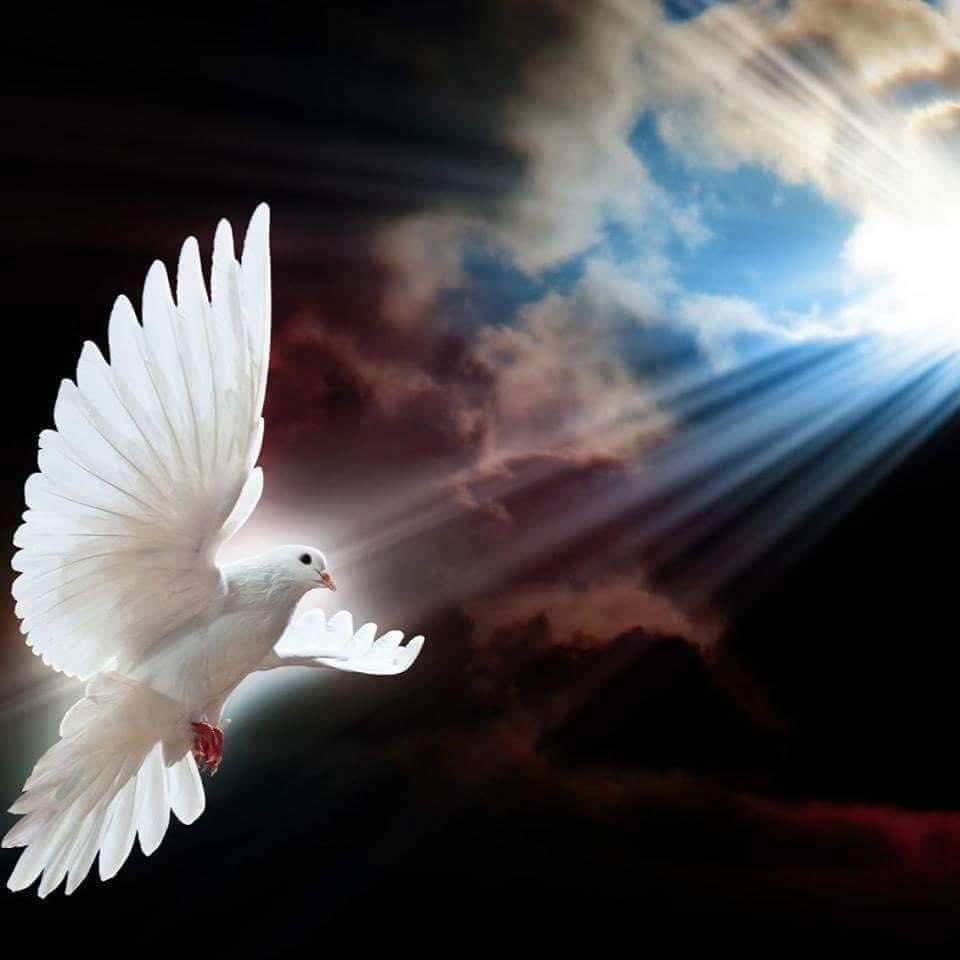 من اصول الحكمه
١ - لاتنسى الذين ساعدوك
                    فى أوقاتك العصيبه
               🌹🌷🌹🌷🌹
٢- لا تنسى الذين خذلوك
                   فى اوقاتك العصيبه
               🌵🌵🌵🌵🌵
٣- لا تنسى الذين وضعوك
                   فى اوقاتك العصيبه
                   👎👎👎👎