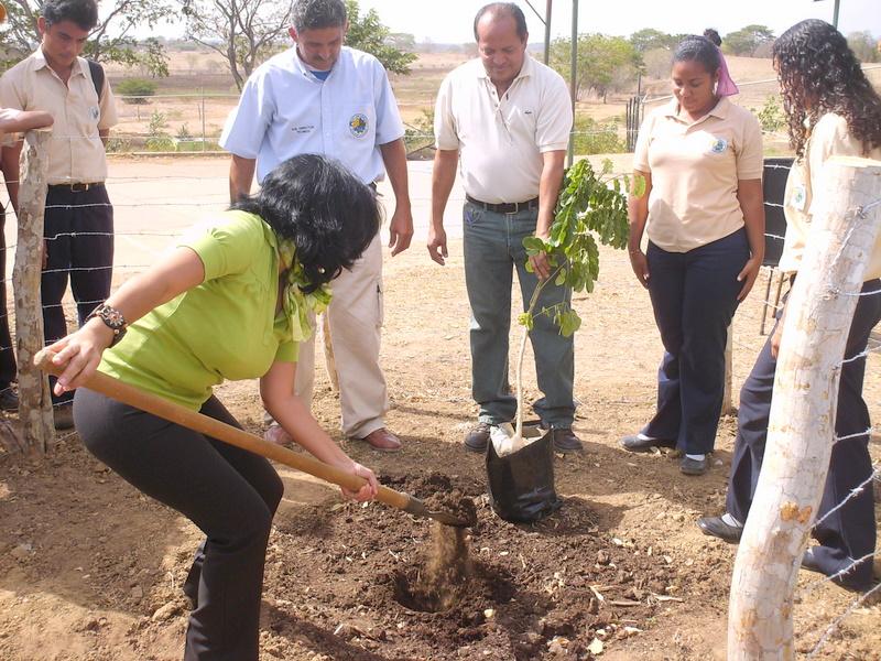 ecorina2's tweet photo. Excelente recuerdo de un viaje a Valle de la Pascua, Guárico con la Agrupación Ecológica La Tierra.. @latierraprimero en la antesala del #DíaMundialdelAmbiente...2023 ¡Gracias Wilfredo por compartir las fotos! Saludos #sembrar #enraizar #reponer #porlaVida🌱 #semillas #árboles https://t.co/fUGnWvWj3a