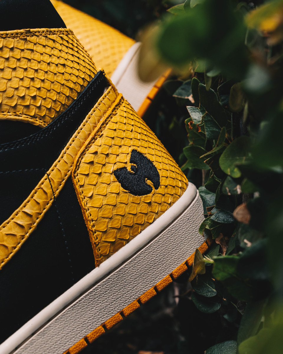 jordan 1 wutang