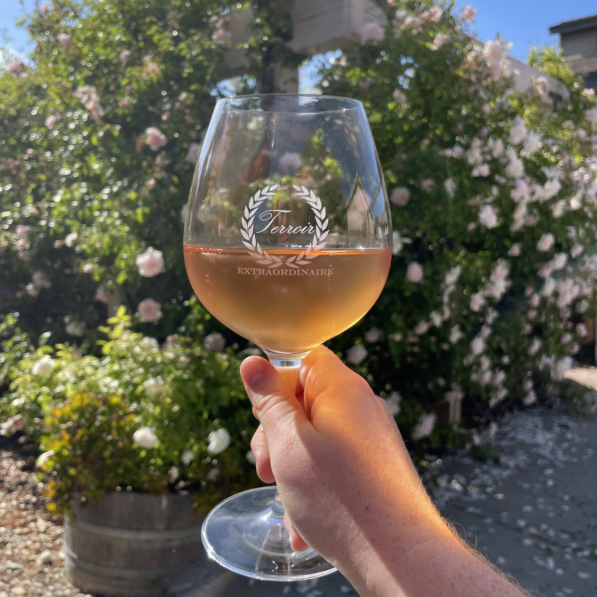 Happy #nationalbubblyday! Pop one open to celebrate and relax, but be careful where you point that thing! 🍾🍾🍾

#americanwinesociety #bubblyday #bubbly #wine